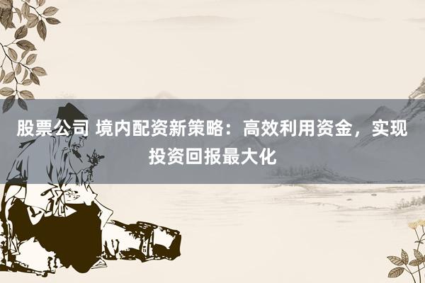 股票公司 境內(nèi)配資新策略：高效利用資金，實現(xiàn)投資回報最大化