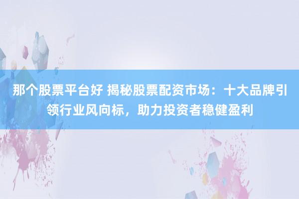 那個(gè)股票平臺(tái)好 揭秘股票配資市場(chǎng)：十大品牌引領(lǐng)行業(yè)風(fēng)向標(biāo)，助力投資者穩(wěn)健盈利