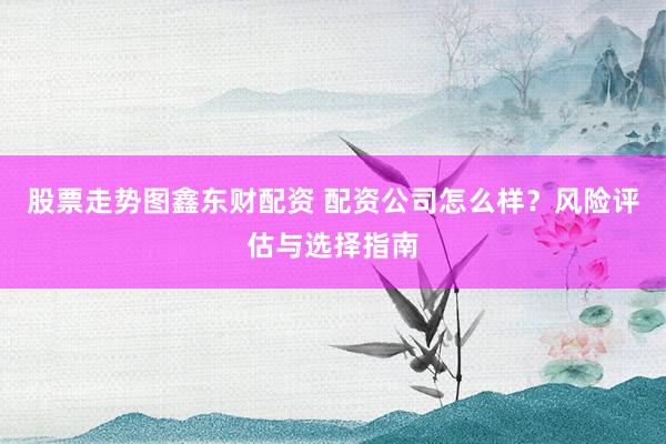 股票走勢圖鑫東財配資 配資公司怎么樣？風險評估與選擇指南