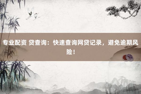 專業(yè)配資 貸查詢：快速查詢網(wǎng)貸記錄，避免逾期風(fēng)險(xiǎn)！